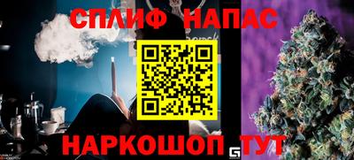 СК Рязань