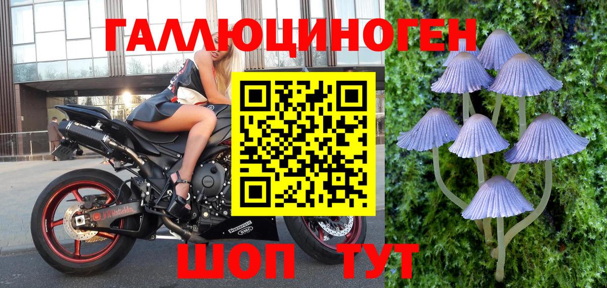 купить наркоту  Галлюциногенные грибы мицелий  Вход с VPN  Обнинск  Псилоцибиновые грибы ЛСД 