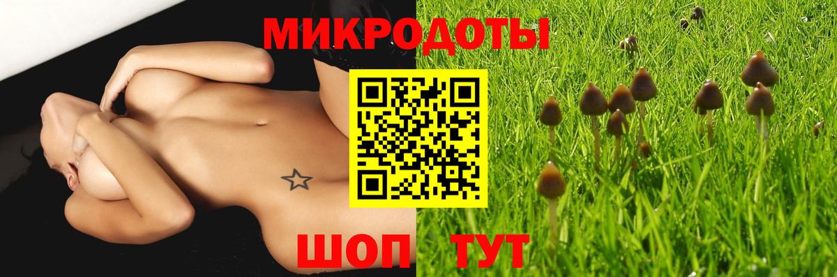 Псилоцибиновые грибы мухоморы Обнинск